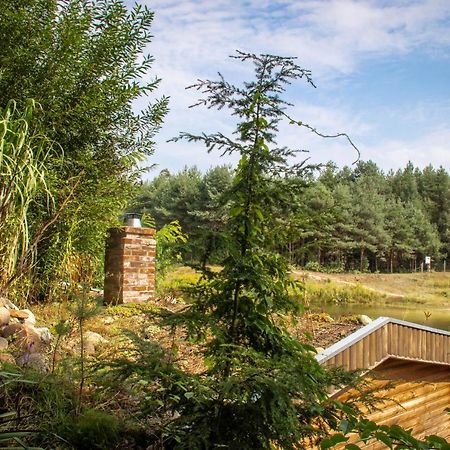 Osrodek Wypoczynkowy "Zrodla Dobrej" Otel Olesno Dış mekan fotoğraf